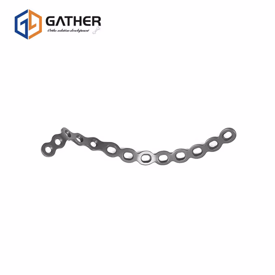 Piastra dorsale distale della frattura del radio in titanio Tipi completi Piastra per strumenti ortopedici per impianti